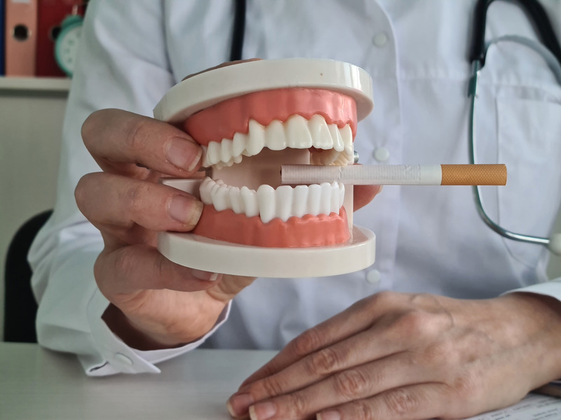 Model dentures holding a cigarette.